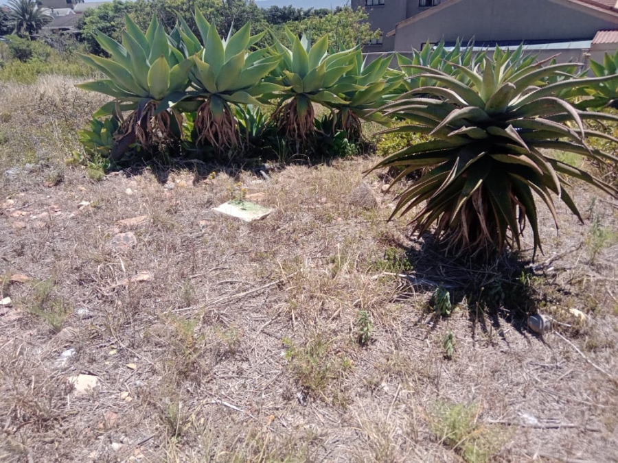 Commercial Property for Sale in Wavecrest Eastern Cape